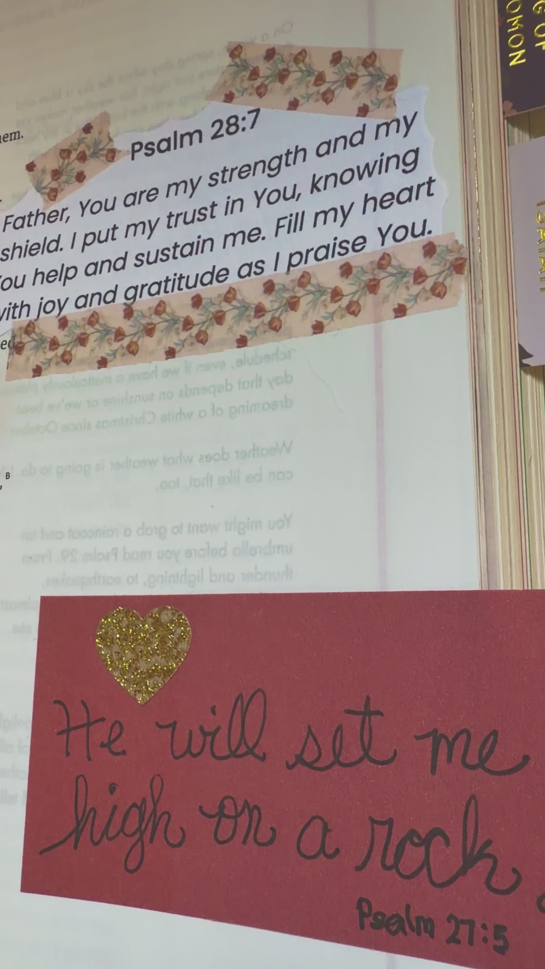 Magnolia Mercy Loaded Rosegold "She Reads Truth Bible" CSV Translation