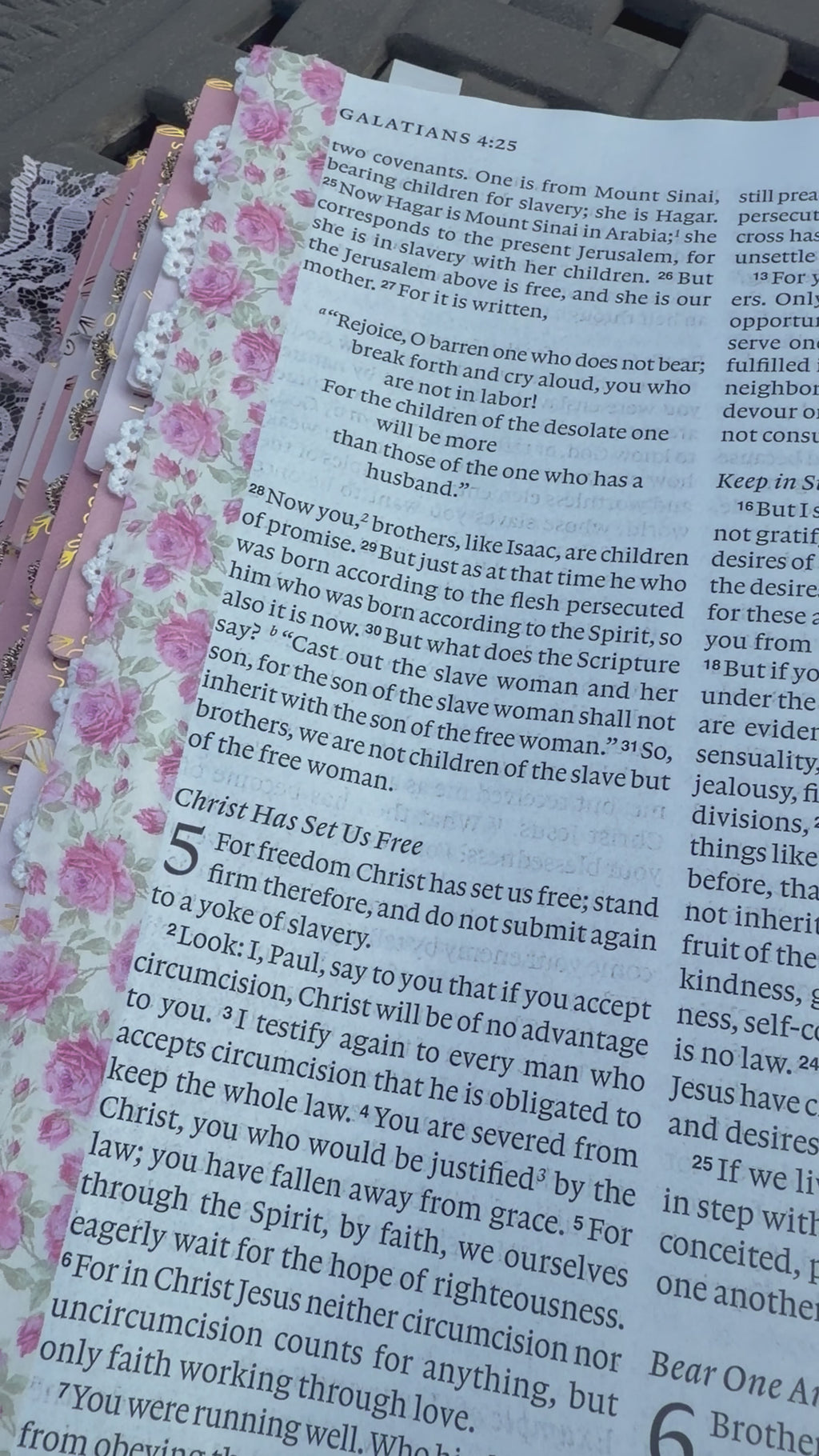 Magnolia Mercy Prayer Bible