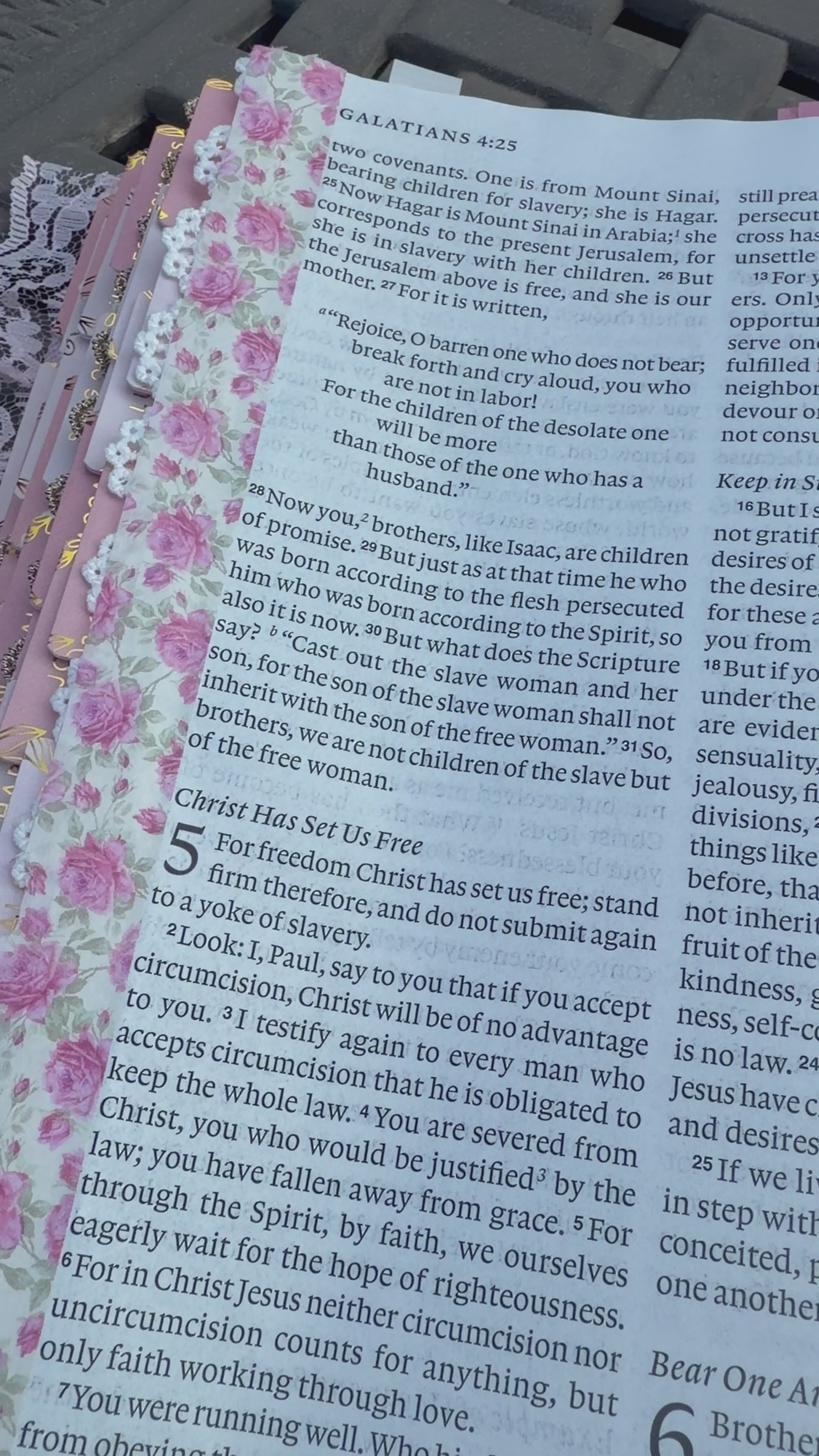 Magnolia Mercy Prayer Bible